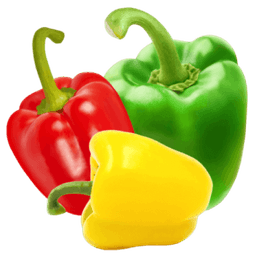 Bell Pepper