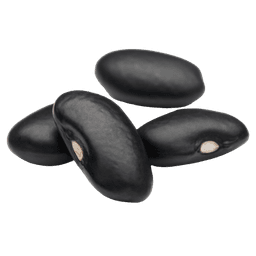 Black Bean