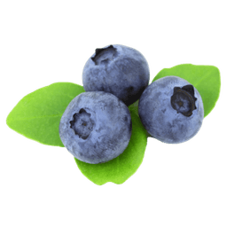 Blueberry