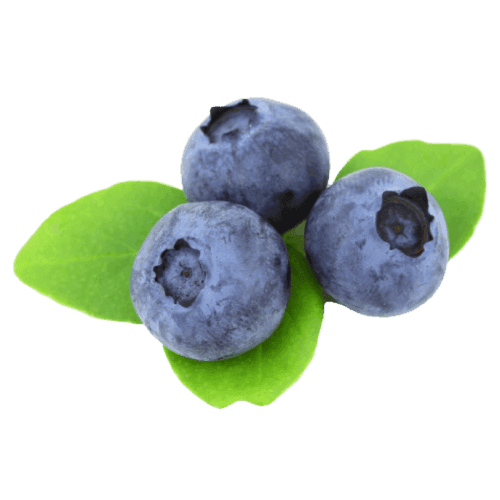 Blueberry