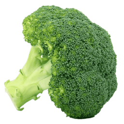 Broccoli
