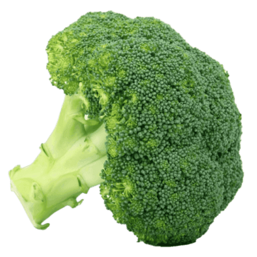 Broccoli