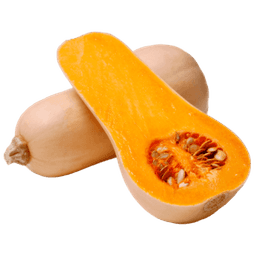 Butternut Squash