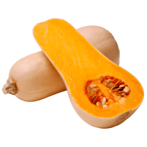 Butternut Squash