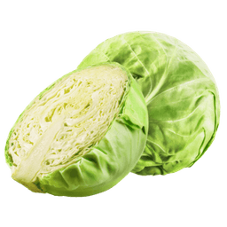 Cabbage