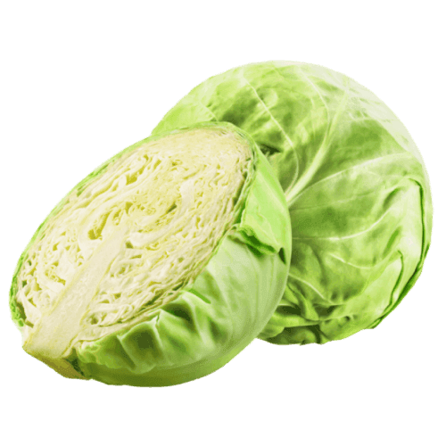 Cabbage