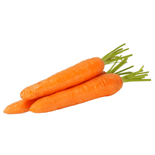 Carrot