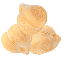 Chickpea