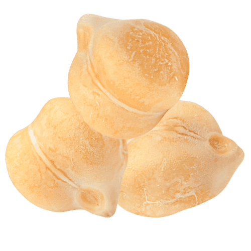 Chickpea
