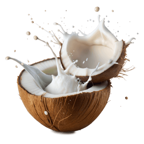 Coconut Milk