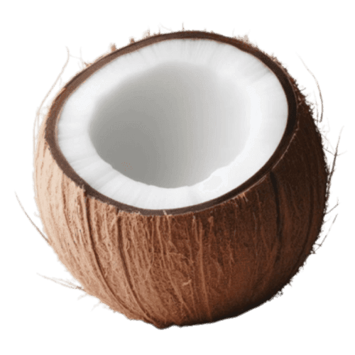 Coconut