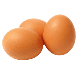 Egg