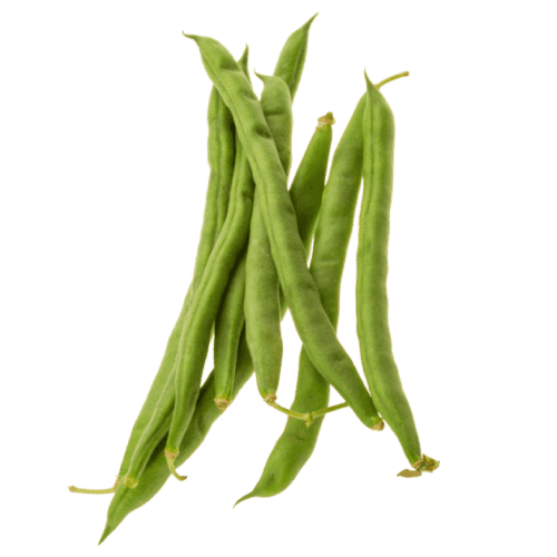 Green bean