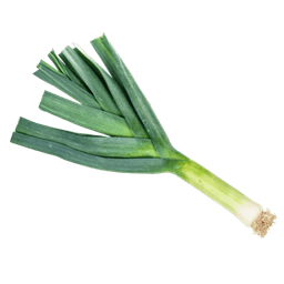 Leek