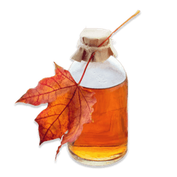 Maple Syrup