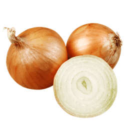 Onion