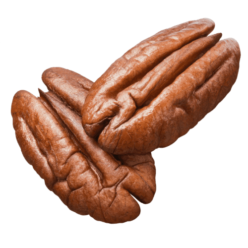 Pecan