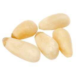 Pine Nut
