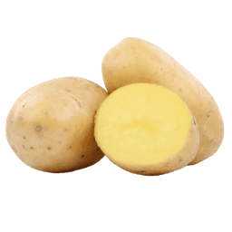 Potato