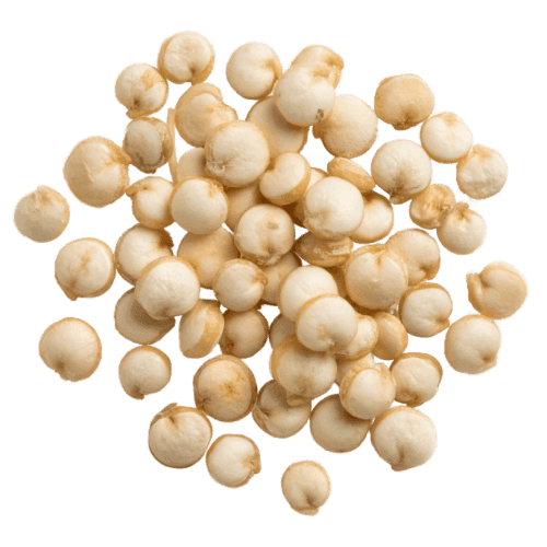 Quinoa