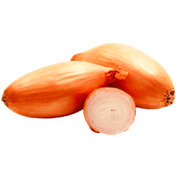 Shallot