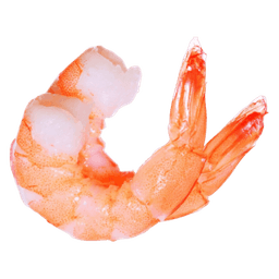 Shrimp
