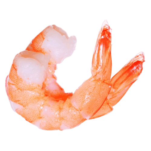 Shrimp