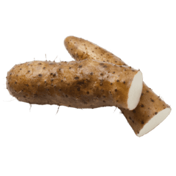 Yam