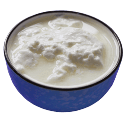 Yogurt
