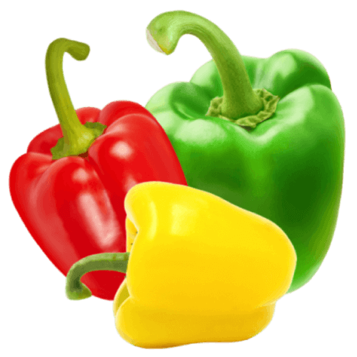 Bell Pepper