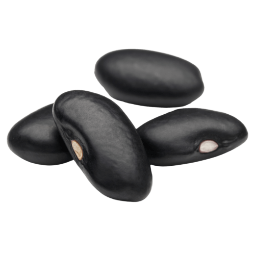 Black Bean