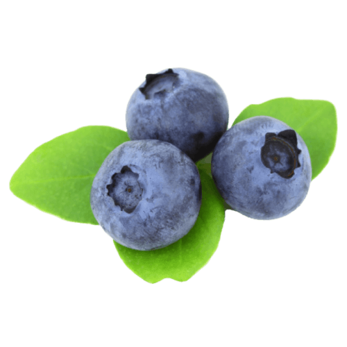 Blueberry