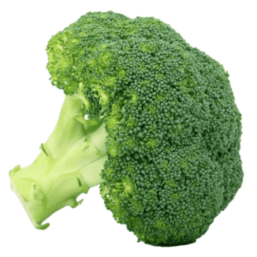 Broccoli