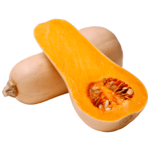 Butternut Squash
