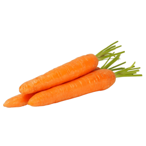 Carrot
