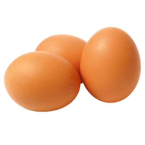 Egg