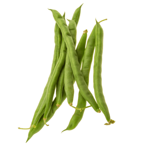 Green bean