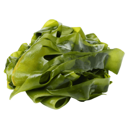 Seaweed