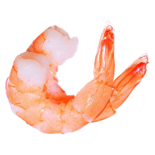 Shrimp