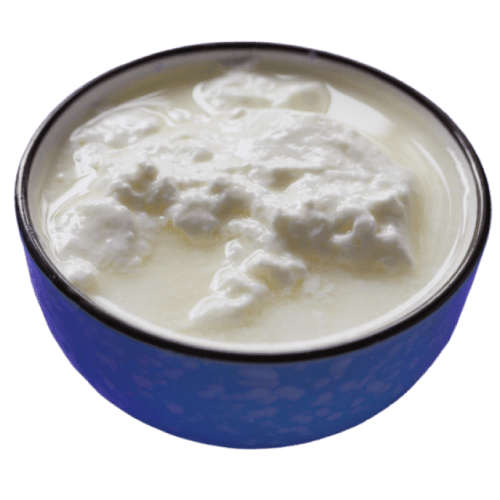 Yogurt